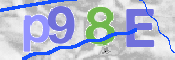 Imagen CAPTCHA