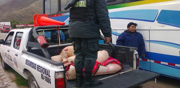 Policía inmovilizó 20 carcasas de cerdo sin certificado de salubridad