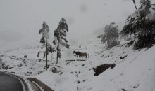 Senamhi advierte lluvias y nevadas en Cusco.