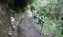 Concluyen conservación y mantenimiento de la red de caminos inca en Machu Picchu