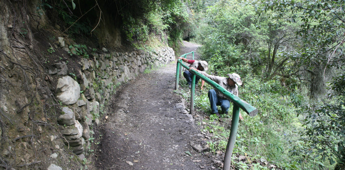 Concluyen conservación y mantenimiento de la red de caminos inca en Machu Picchu