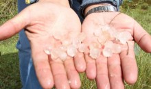 Granizada cubre campos de cultivo en comunidades de Ocongate-Quispicanchi