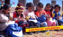 Recomendaciones para preparar saludables loncheras escolares