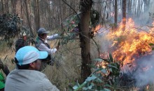 Imágenes impresionantes del voraz incendio que nuevamente devastó el cerro Picol