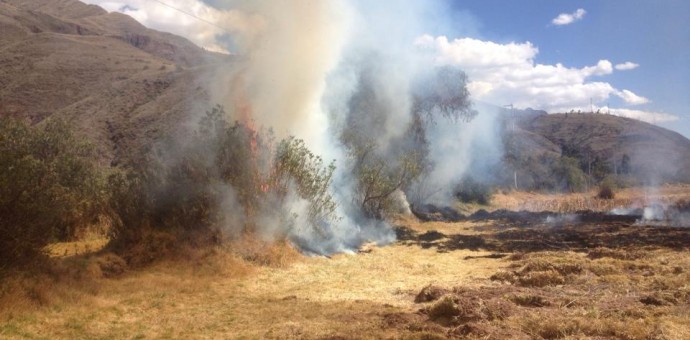 Nuevo incendio forestal amenazó con dañar sitio arqueológico de Ollantaytambo
