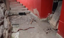 Desconocidos causan destrozos en el Museo de Sitio de Limacpampa Grande