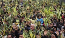 Multitudinaria bendición de palmas y ramos en la catedral del Cusco