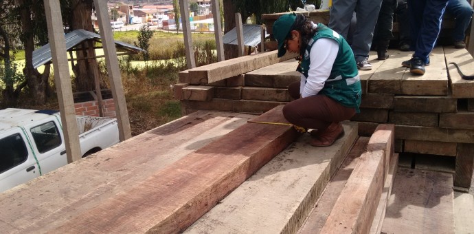 Decomisan 1 800 pies tablares de madera aserrada de la especie Copaiba