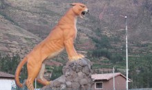 Cultura denuncia penalmente a ciudadano de Calca por atentar contra el patrimonio