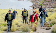 Moquegua: Dictan prisión preventiva por 6 meses a cazador furtivo de vicuñas