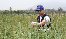 Ministro de Agricultura y rector de la UNSAAC suscriben convenio «Plan Agrojoven» Ministro de Agricultura y rector de la UNSAAC suscriben convenio «Plan Agrojoven»
