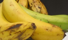 Exportación de plátanos alcanza cifra récord en el 2016