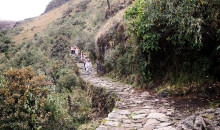 Desde este 01 de febrero se cierra Camino Inca de MachuPicchu