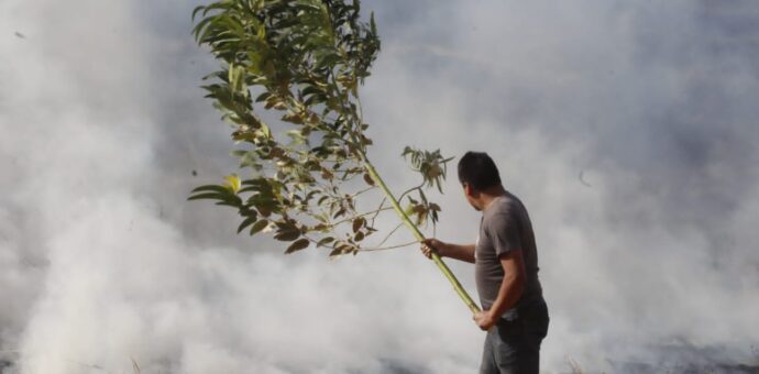 Más de 10 hectáreas de cobertura natural se incendiaron en Quillhuay, Coya