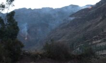 Incendio en Quihuay afectó 15 hectáreas de pinos, eucalipto, plantas nativas y pastos naturales