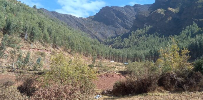 Se logró liquidar incendio forestal de gran magnitud en Lucre y Andahuaylillas