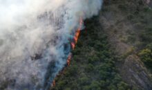 Incendio forestal prosigue incontrolable en localidades de Lucre y Andahuaylillas