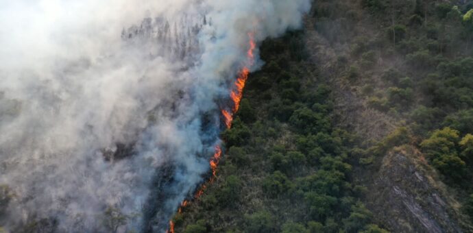 Incendio forestal prosigue incontrolable en localidades de Lucre y Andahuaylillas