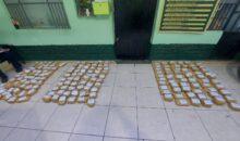 Incautan más de 183 kilos de droga en la vía Paucartambo-Pillcopata