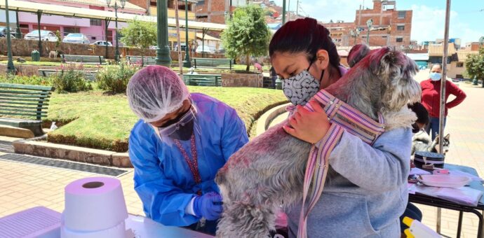 Este domingo 10 de octubre se realizará  la Gran Campaña de vacunación antirrábica canina