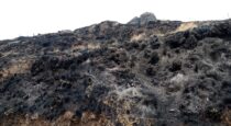 Incendio forestal de gran magnitud se registra en la provincia de Paruro