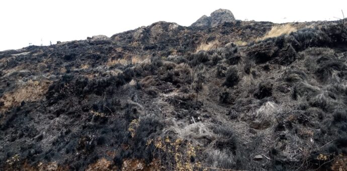 Incendio forestal de gran magnitud se registra en la provincia de Paruro