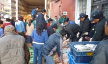En fiesta de Todos los Santos incautaron 20 kilos de carne de cerdo con cisticercos