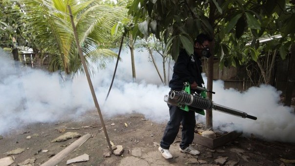 Ministerio de Salud afirma que región Cusco tiene dinero para combatir Chikungunya