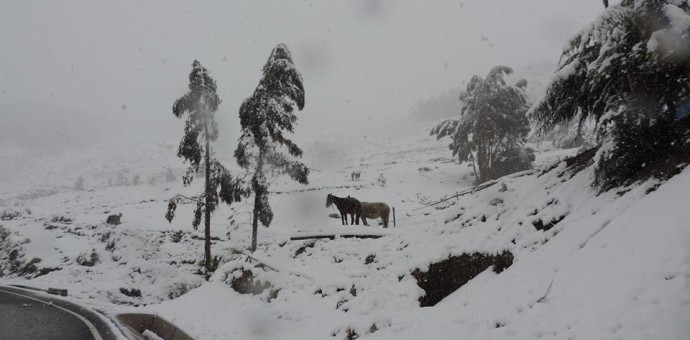 Evalúan declarar en emergencia provincias afectadas por lluvias y heladas