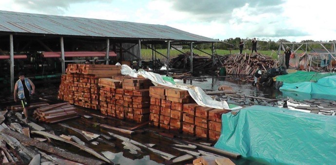 Inmovilizan madera valorizada en un millón y medio de dólares
