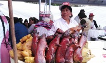 Imágenes de Cusco en Portada registradas en la entrada del Corpus Christi 2016