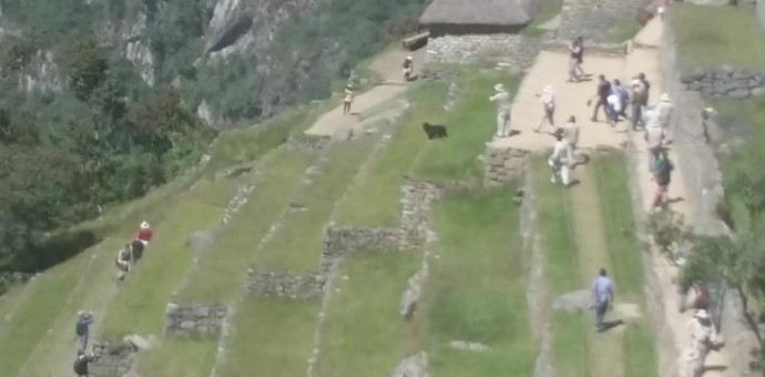 Presidente Humala atentó contra el patrimonio natural de Machu Picchu