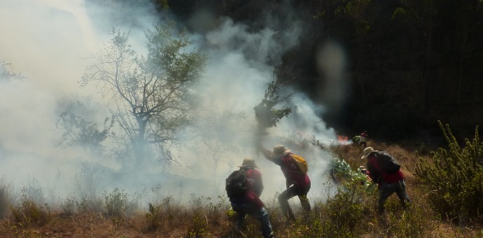 Incendio forestal en zona de amortiguamiento de Machu Picchu