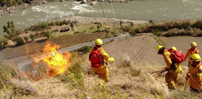 Incendio forestal en zona de amortiguamiento de Machupicchu consumió 12 hectáreas