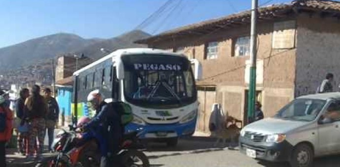 Bus de la Empresa de Transportes Pegaso atropella a anciana y víctima dejó de existir