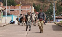 Expedicionarios que recorren el Qhapaq Ñan llegan a Cusco