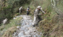 Turistas volverán a recorrer la red de caminos inka de MachuPicchu a partir del 01 de marzo