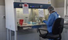 Laboratorio de Accamana en Cusco tiene capacidad para procesar hasta 103 muestras diarias de coronavirus