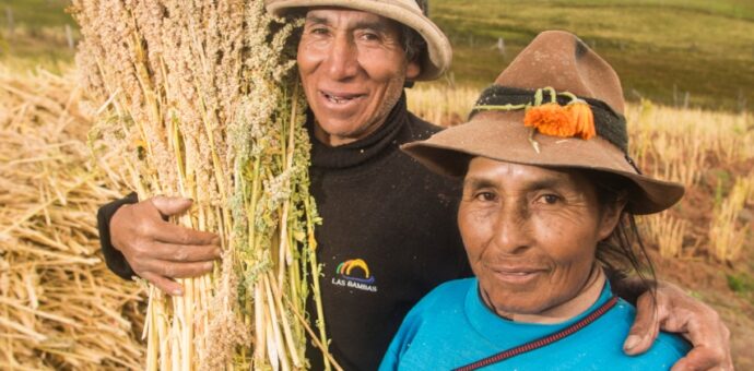 Las Bambas apoya proyecto de cultivos andinos en Challhuahuacho, Mara, Tambobamba y Progreso