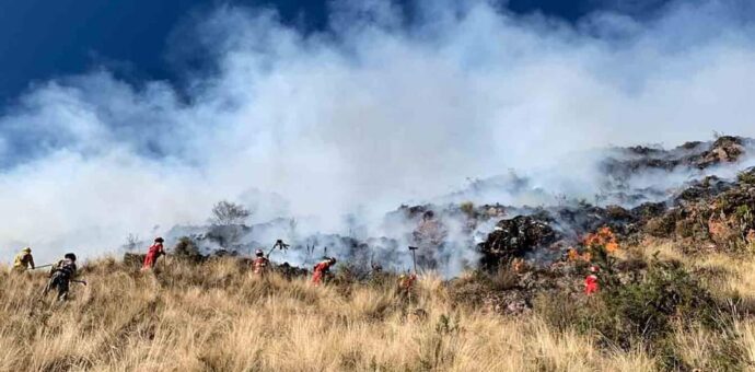 Bomberos cusqueños atendieron 12 incendios forestales en una semana