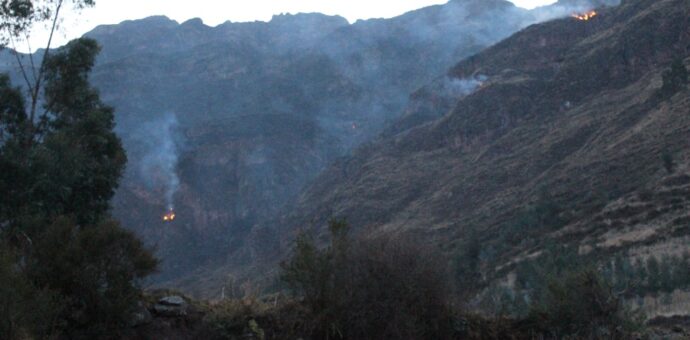 Incendio en Quihuay afectó 15 hectáreas de pinos, eucalipto, plantas nativas y pastos naturales