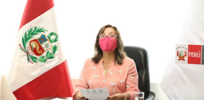 VicePresidenta Dina Boluarte: “El Perú debe de demostrar madurez política”